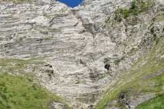 IMG-20210719-WA0051
