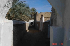 DSC05518