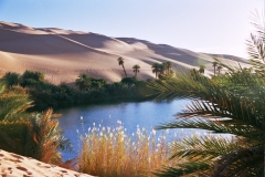 Libia-02-no-4-Murzuk-i-llacs-4