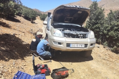 IMG-20250821-WA0008