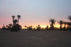 SAHARA 12-2008 024